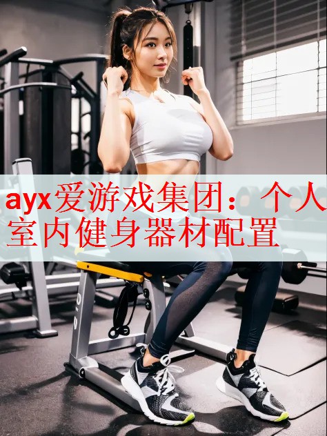 个人室内健身器材配置