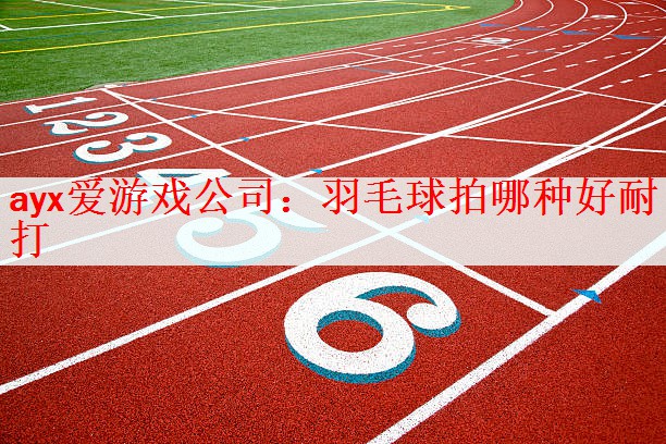 羽毛球拍哪种好耐打